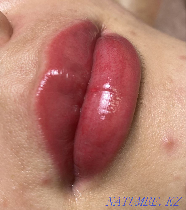 Акция! Перманентный макияж 7000тг Астана - изображение 8