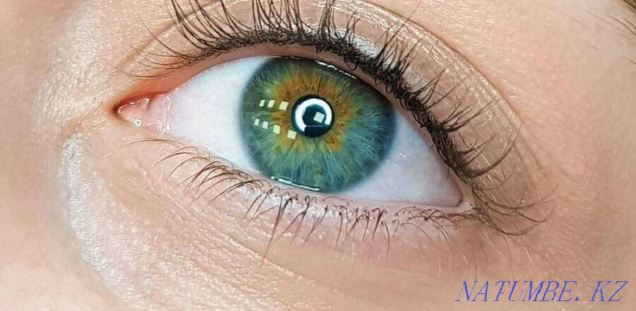 Eyebrows and eyelashes 10.000 tg. Almaty - photo 4