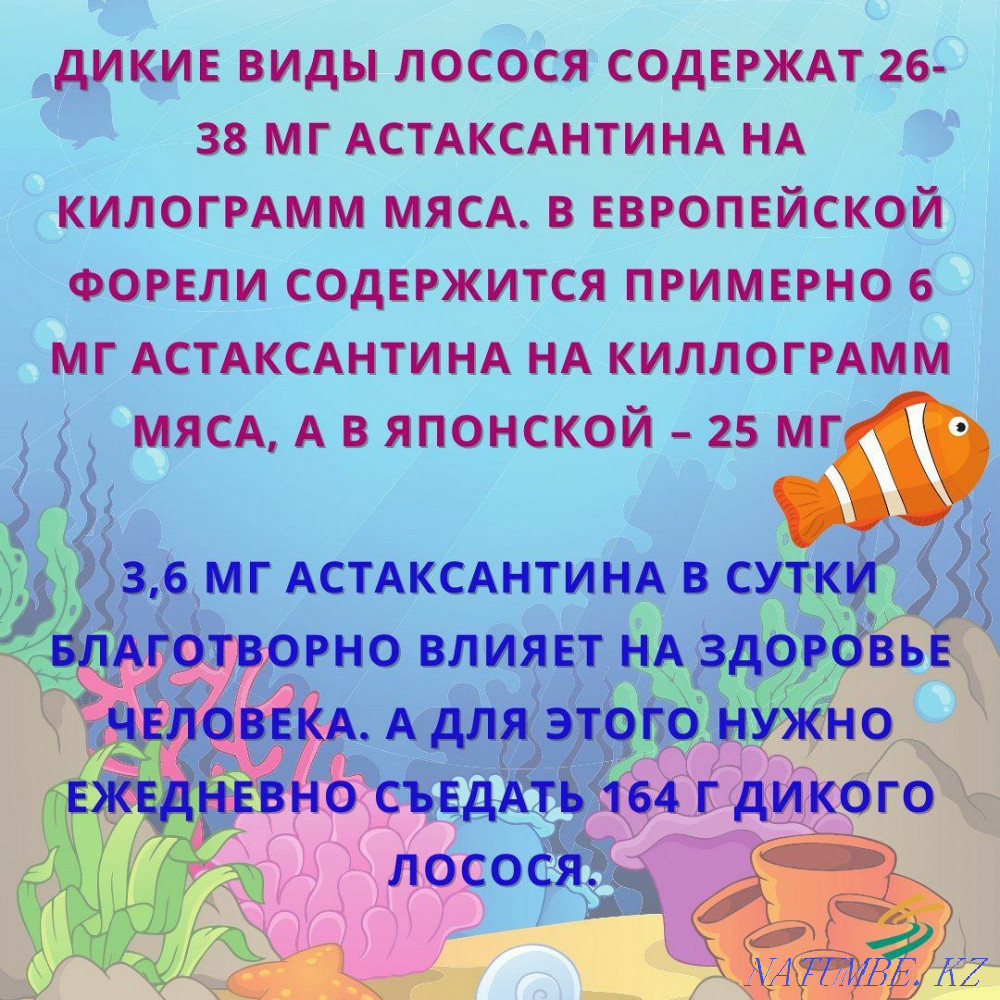Recruitment for training beautician, massage therapist. Тельмана - photo 7