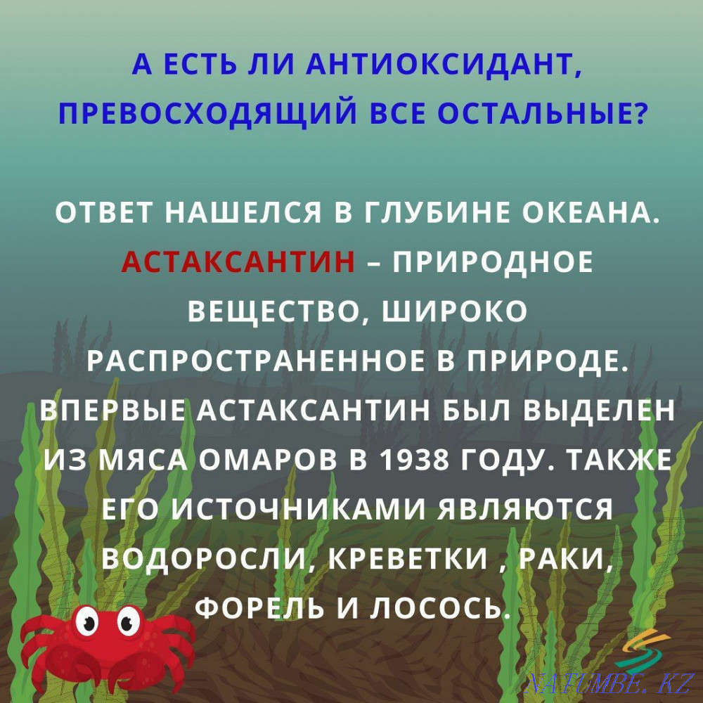 Recruitment for training beautician, massage therapist. Тельмана - photo 6