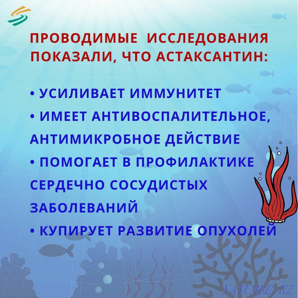 Recruitment for training beautician, massage therapist. Тельмана - photo 8