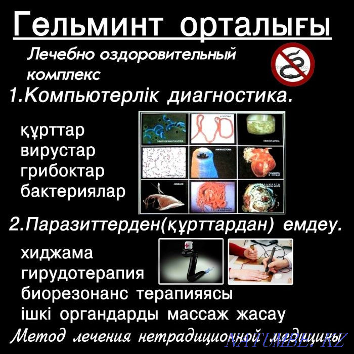 Гирудотерапия(Пиявки).Апитерапия Туркестан - изображение 8