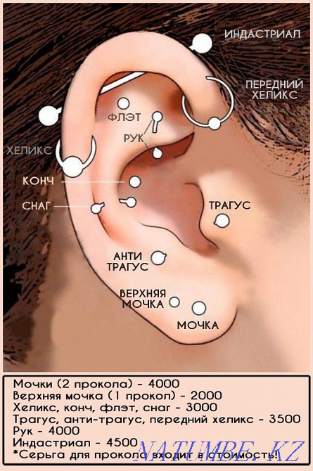 Пирсинг Темиртау, прокол ушей Темиртау - изображение 2