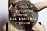 Бесплатная стрижка !Требуются модели для бесплатной стрижки! Астана