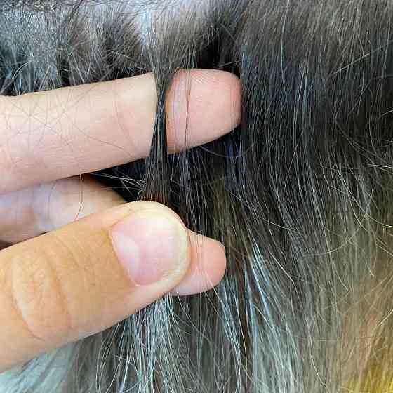 качественное наращивание волос всего за 20 000 тг Алматы