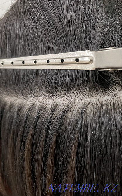 Шашты өсіру  Астана - изображение 5