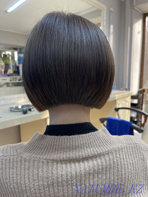 Ертеңге тегін  Алматы - изображение 4