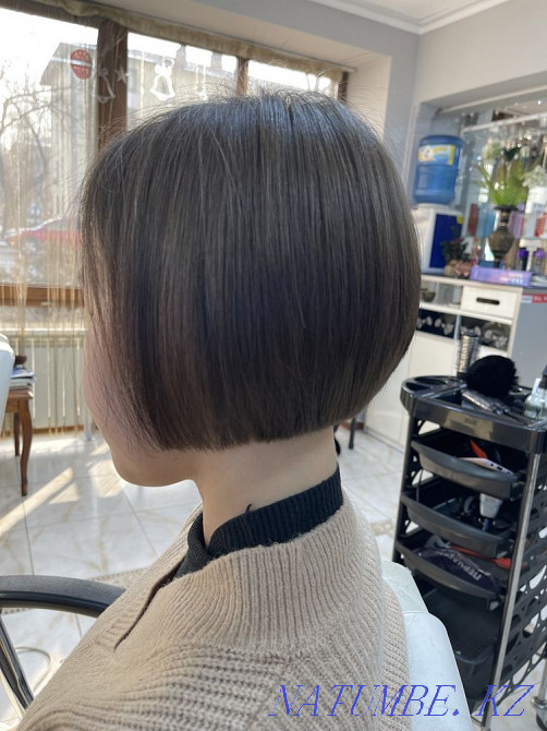 Ертеңге тегін  Алматы - изображение 2