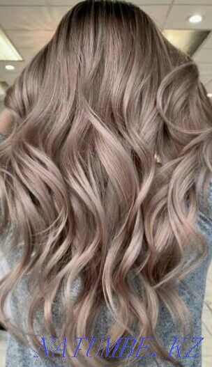 Hairdresser Departure From Elite to Economy class Departure for the disabled Promotion Astana - photo 5