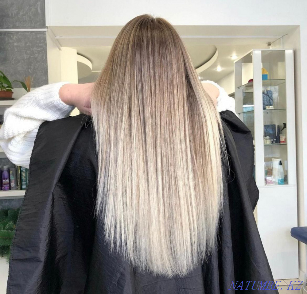 complex coloring from the master Almaty - photo 4