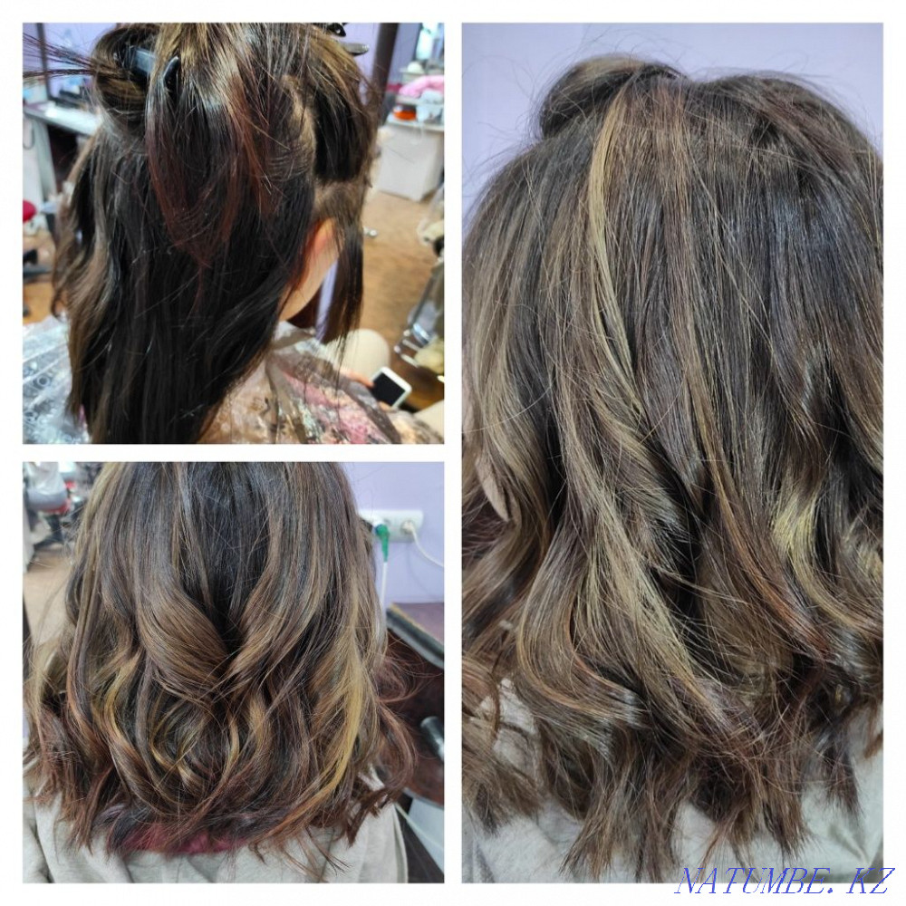 Бізге күрделі бояғыш модельдер қажет Биотолқын, химия, базальды көлем.  Астана - изображение 4