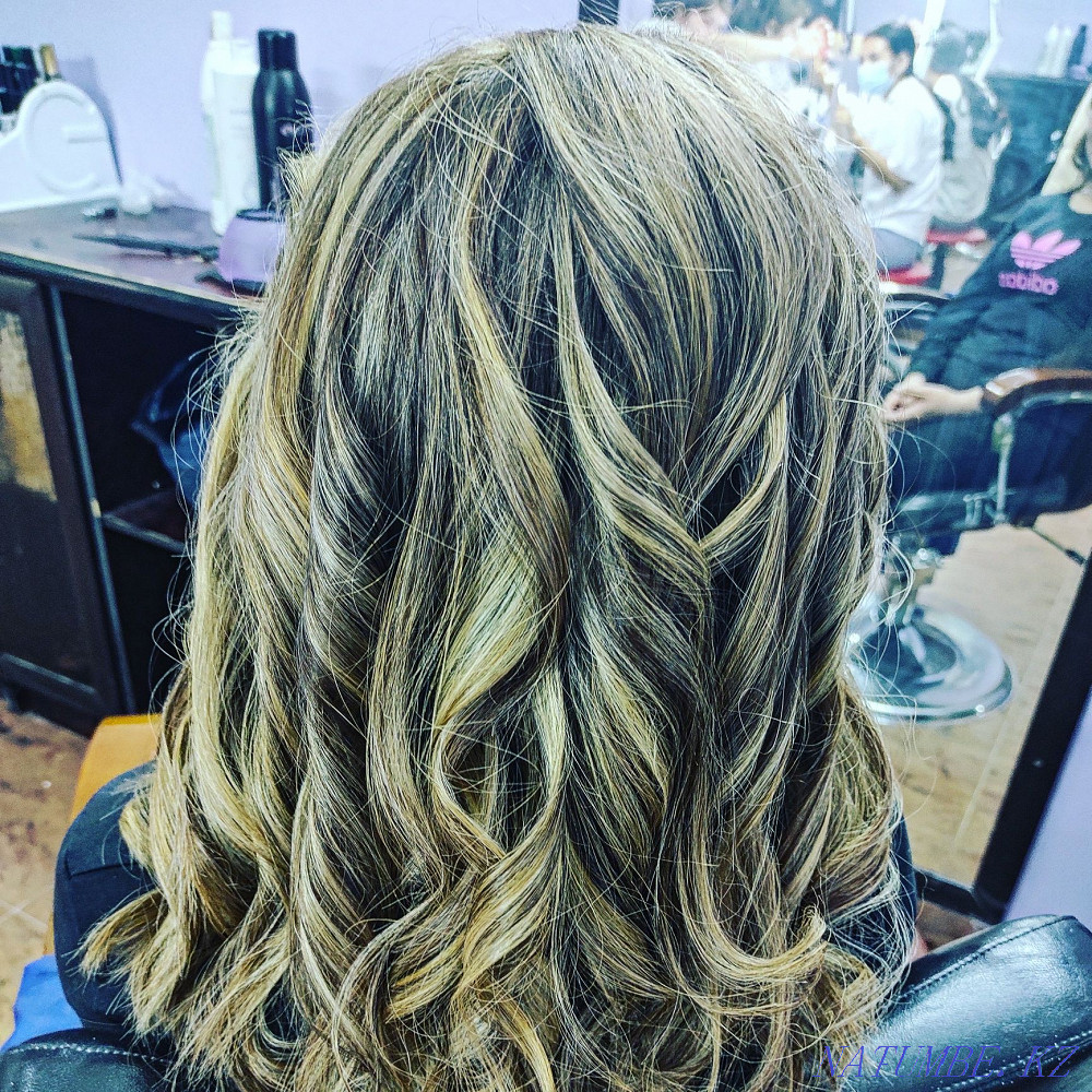 Бізге күрделі бояғыш модельдер қажет Биотолқын, химия, базальды көлем.  Астана - изображение 5