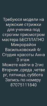 Требуются модели на стрижку Kokshetau