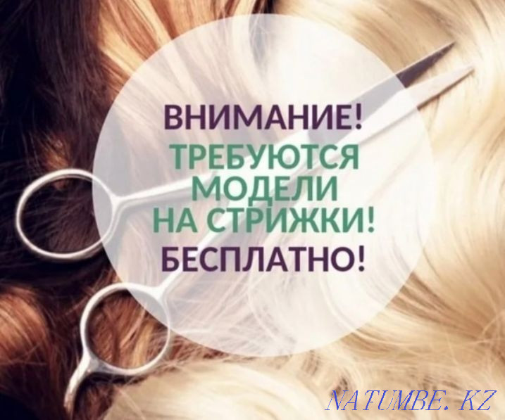 Model required for men's haircut Pavlodar - photo 2