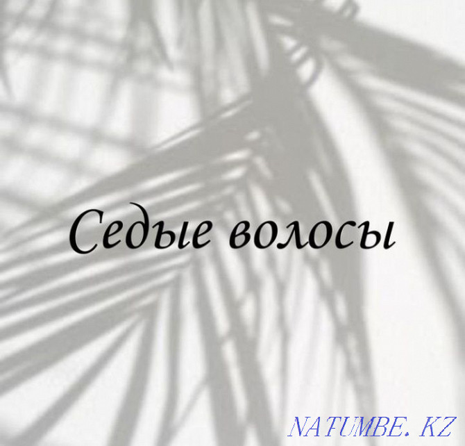 Сұр шашты қолмен кетіру  Астана - изображение 1