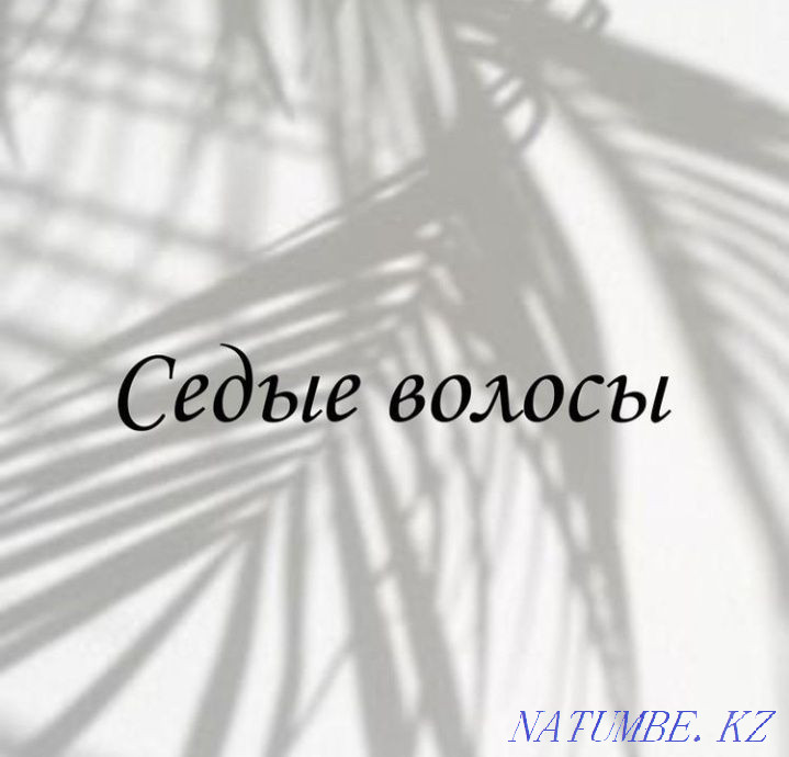 Ручное удаление седых волос Астана - изображение 1