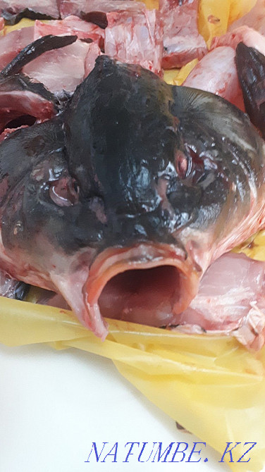 Банный комплекс "Семь бань" Атырау - изображение 5