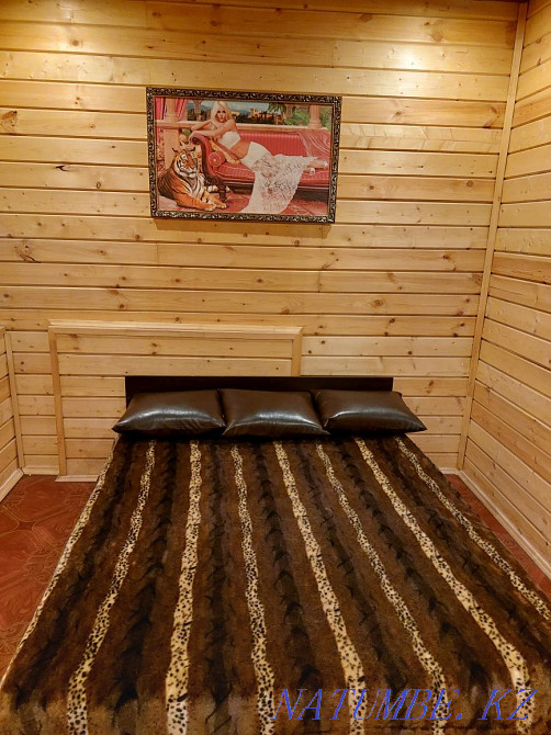 Sauna with swimming pool and billiards Astana - photo 3