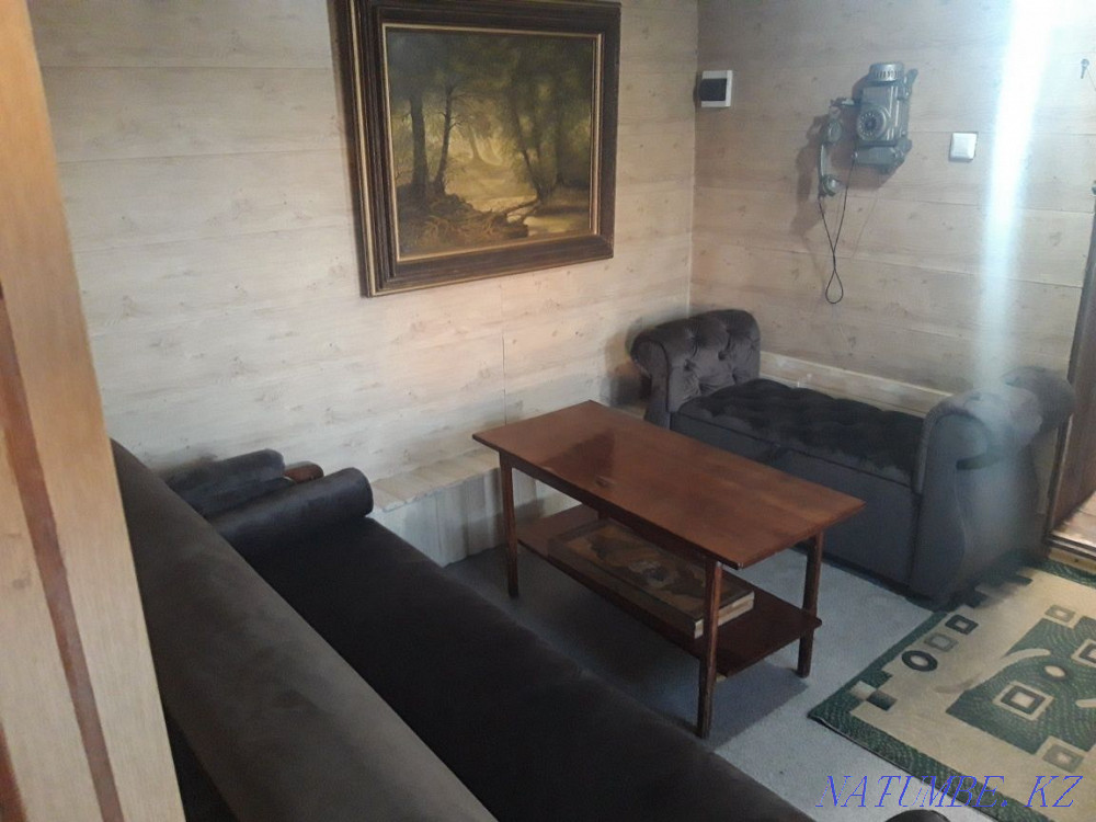 Семейная VIP баня. Район ж/д вокзала. КАРАОКЕ Семей - изображение 5