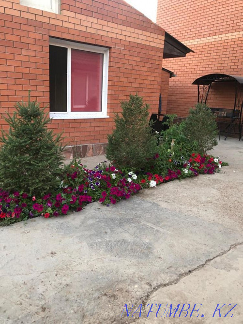 wood-fired sauna Astana - photo 6