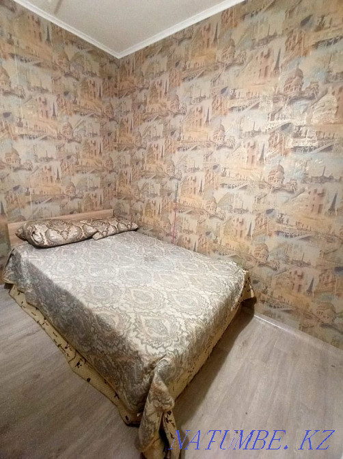 Wood-fired sauna with a warm pool Astana - photo 8