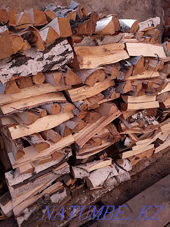 Family wood-fired sauna Astana - photo 8