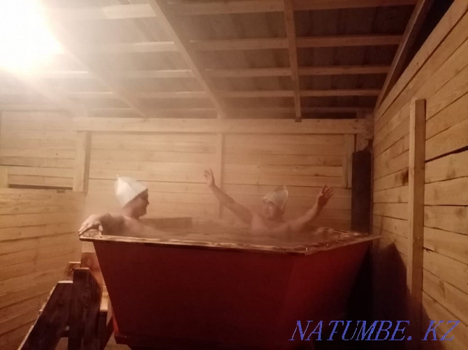 cedar sauna with karaoke + font. Astana - photo 8