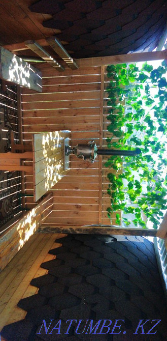 кедровая баня с караоке+купель . Астана - изображение 5