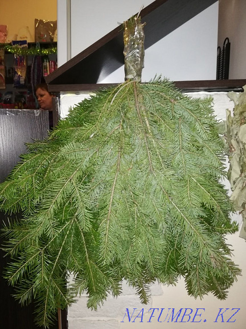 Баня до 4 и до 6 человек Кокшетау - изображение 2