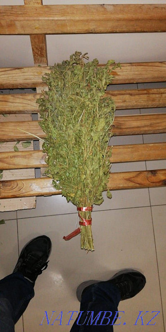 Баня до 4 и до 6 человек Кокшетау - изображение 3