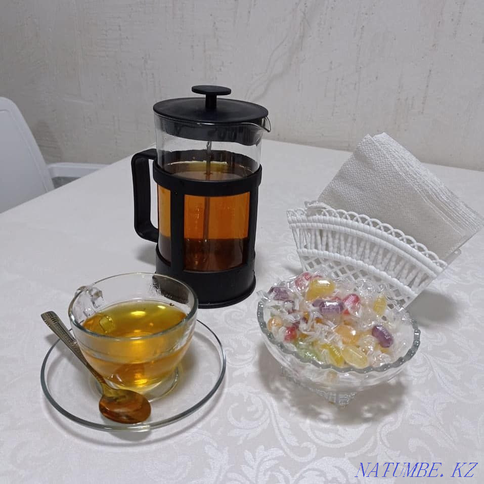 Family bath! New! Great couple! Karaoke! Astana - photo 5