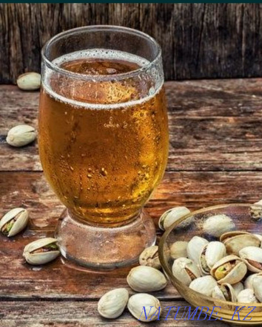 Общественная баня на дровах Астана - изображение 1