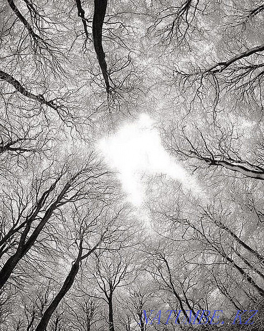 "Ночная Стоматология" Костанай - изображение 2