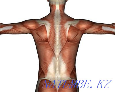 Оздоровительный массаж 5000 тг Атырау - изображение 2
