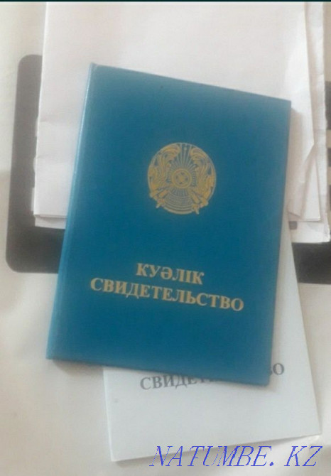 Массаж профессиональный, у себя Астана - изображение 4