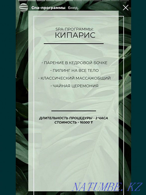 Massotherapy. Phytobarrel Almaty - photo 5