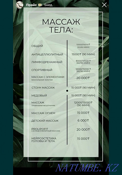 Massotherapy. Phytobarrel Almaty - photo 4