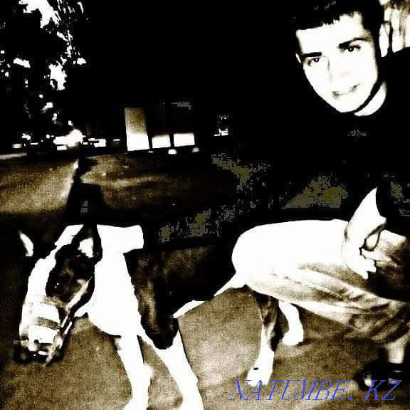 massage for women Astana - photo 2