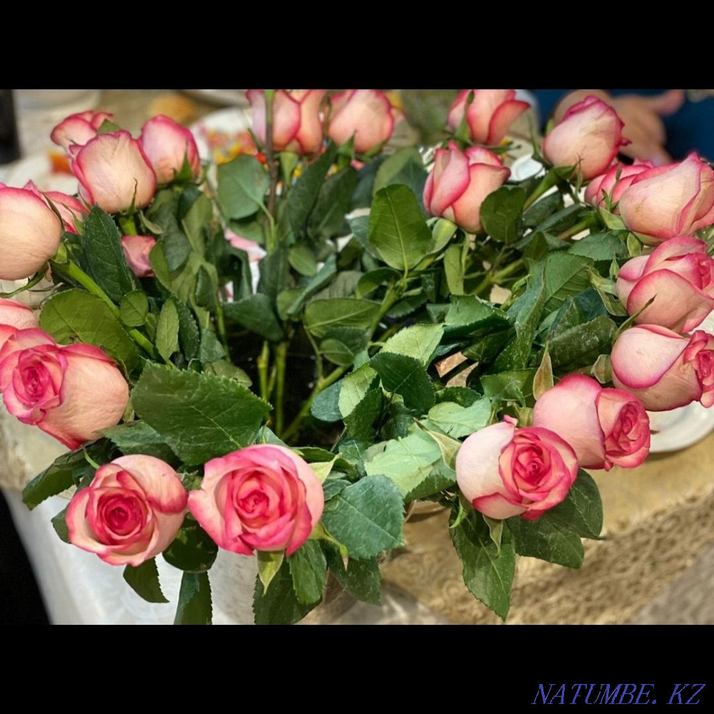 Quality massage at home and away Taldykorgan - photo 3