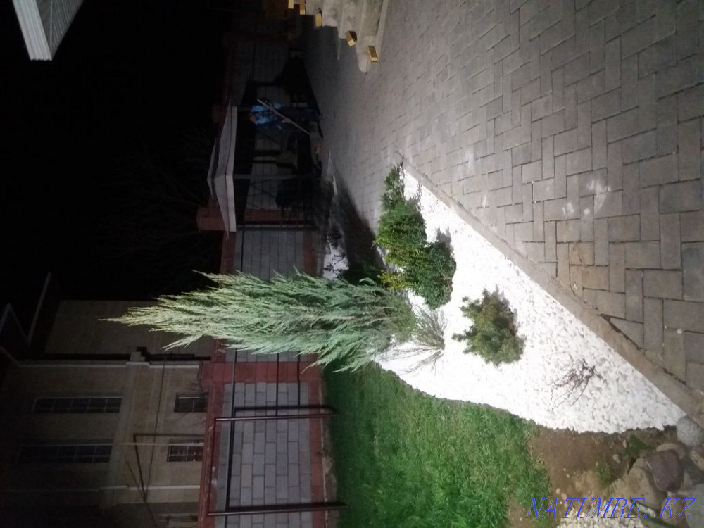 Услуги "честного"садовника недорого( ландшафтный дизайн ) Алматы - изображение 7