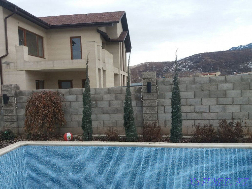 Услуги "честного"садовника недорого( ландшафтный дизайн ) Алматы - изображение 2