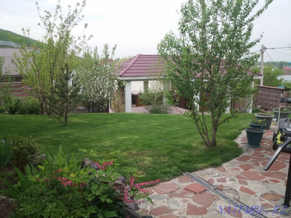 Услуги "честного"садовника недорого( ландшафтный дизайн ) Алматы - изображение 6