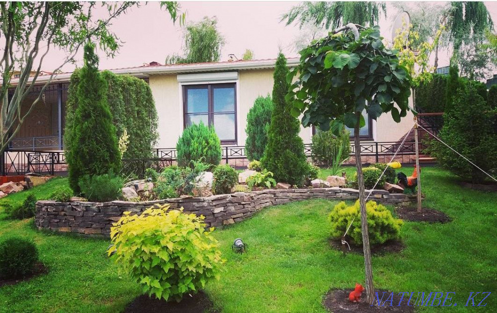 Landscaping. Landscaping. Creation of projects. Almaty - photo 1