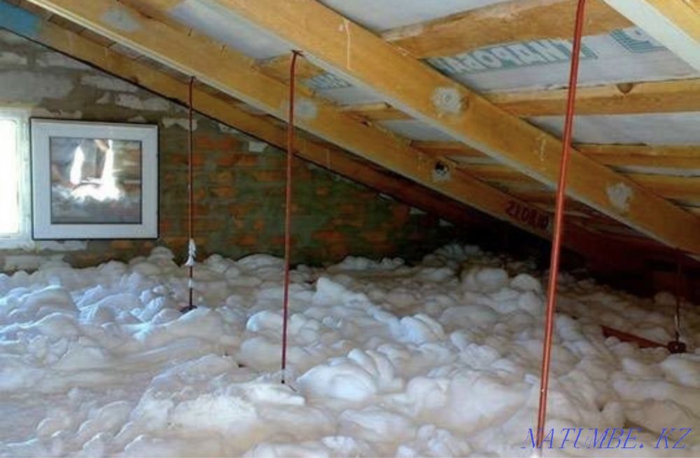 Penaizol Kyzylorda - photo 1