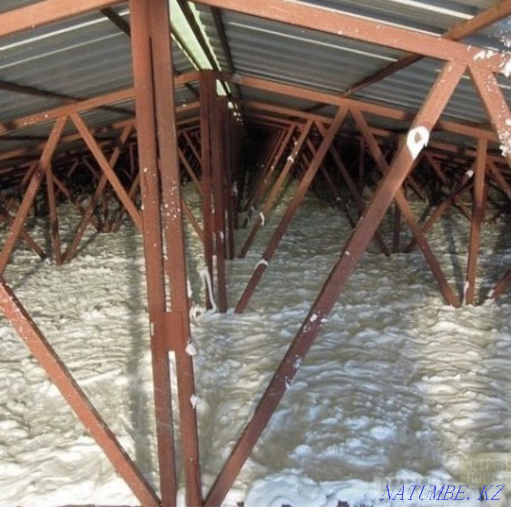 Penaizol Kyzylorda - photo 4