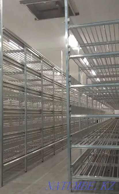 Turnkey construction of myceliums Taraz - photo 5