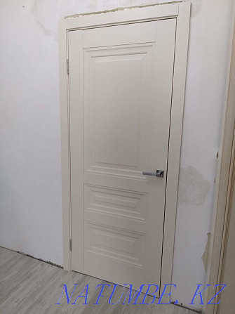 Установка дверей плинтуса любого вида и сложности входные двери Павлодар - изображение 4