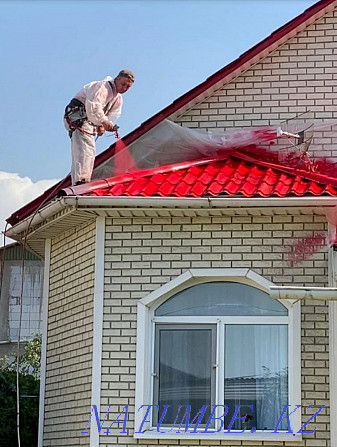 Professional roof painting Astana - photo 3