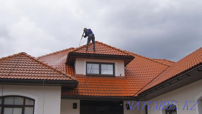 Professional roof painting Astana - photo 1