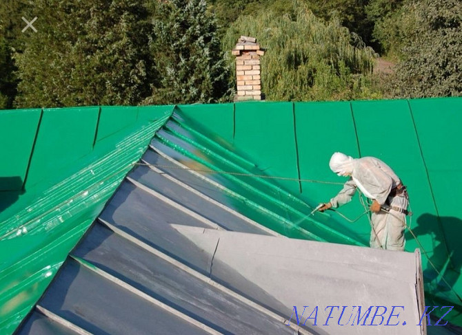 Professional roof painting Astana - photo 2